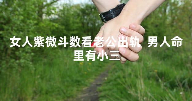 女人紫微斗数看老公出轨  男人命里有小三